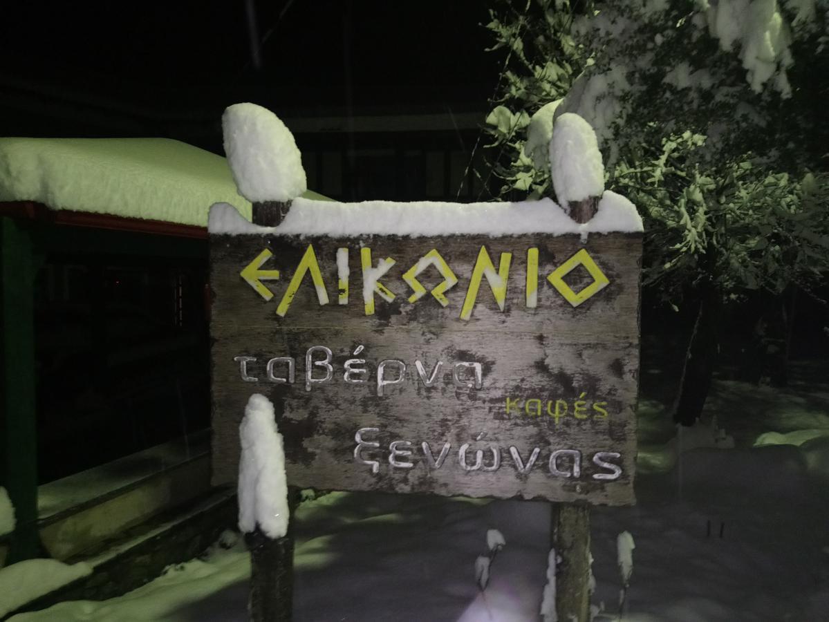 阿基亚安娜 Elikonio酒店 外观 照片